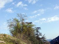 Sisteron - Vues diverses  Sous les remparts de la citadelle (Ouest) 1/2