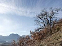 Sisteron - Soleillet / Buech  Ici se trouvent de majestueux chênes blancs. Au loin la montagne de l'Ubac et à droite la Crête de l'Ane. En bas la vallée du Buech entre Sisteron et Ribiers