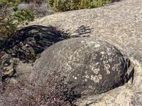 Serre d'Autruy - St André de Rosans  Deux boules de grès côte à côte pas encore érodées