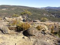 Serre d'Autruy - St André de Rosans  En bordure Est du plateau