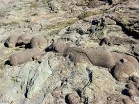 Serre d'Autruy - St André de Rosans  Curieuses formes pour celles-ci