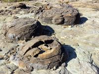 Serre d'Autruy - St André de Rosans  Ici quatre boules assez dégradées