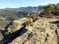 Serre d'Autruy - St André de Rosans  Toujours en bordure Est du plateau