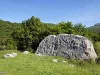 Tour de la Baume  De gros rochers pointent ca et la ! ...