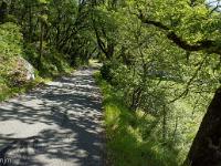 Tour de la Baume  J'empreinte la route de Mézien sur environ 2 km avant de reprendre le sentier