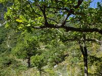 Tour de la Baume  Je quitte la route goudronnée pour reprendre le sentier