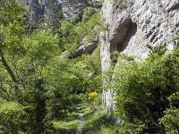Tour de la Baume  Le sentier aux abords du défilé, clue ou coule le Riou de Jabron