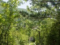 Tour de la Baume  J'empreinte tout d'abord une belle piste qui mène à un captage d'eau (vue à contre-sens de la marche)