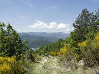 Tour de la Baume  Vue sur la montagne de Lure au loin et celles de chapage et Mongervis au 1er plan. On aperçois en bas le barrage de Saint Lazare sur la Durance