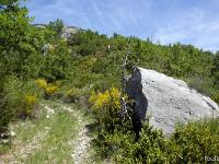 Tour de la Baume  Le sentier (vue à l'inverse de la marche)