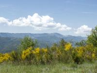 Tour de la Baume  Vue sur la montagne de Lure (1825m). Au 1er plan de gauche à droite : Chapage (981m), Sumiou (1266m) et Pélegrine (1355m)