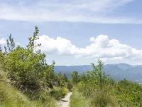 Tour de la Baume  Vue sur le sentier (sens inverse de la marche)