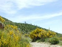 Tour de la Baume  Le sentier