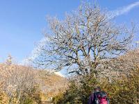Montagne de Mare  Sur le sentier vers le col de Verdun
