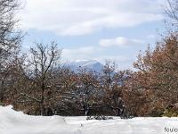 Tournée des Chênes  Au loin Chabre (1294m)