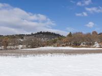 Tournée des Chênes  Magnifique paysage ou les herbes pointent au travers de la neige
