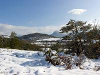 Tournée des Chênes  Vue vers le Sud/Est - A gauche au loin, la montagne de Hongrie (1189m)