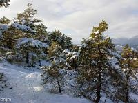 Tournée des Chênes  Retour sur Thèze via le sous-bois à l'ubac de Corpatasse