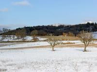 Tournée des Chênes  Poiriers anciens eu milieu d'un près