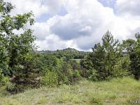 Tournée des Chênes  Vue vers l'Est. Au loin au centre le village et les ruines du château de Sigoyer