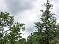 Tournée des Chênes  Le sentier au niveau de Haut Planet (sens inverse de la marche)
