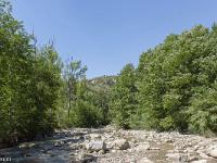 Au fil du Vançon  Le lit du Vançon